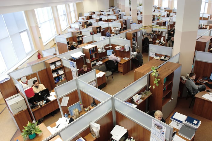 workplace wellness