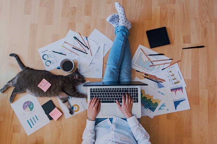 work from home jobs